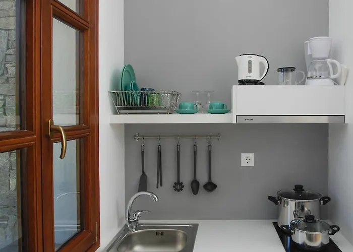 Syros Wellness Luxury Дом отдыха *