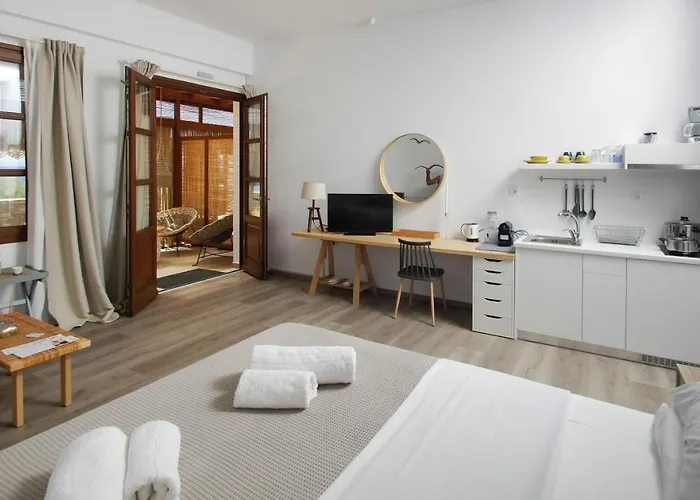 Дом отдыха Syros Wellness Luxury Финикас